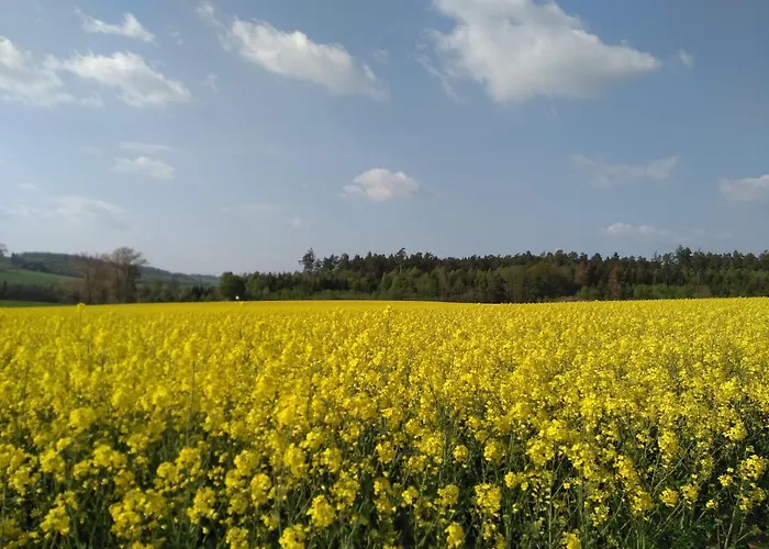 Apartament Auszeit Am Edersee Thalitter
