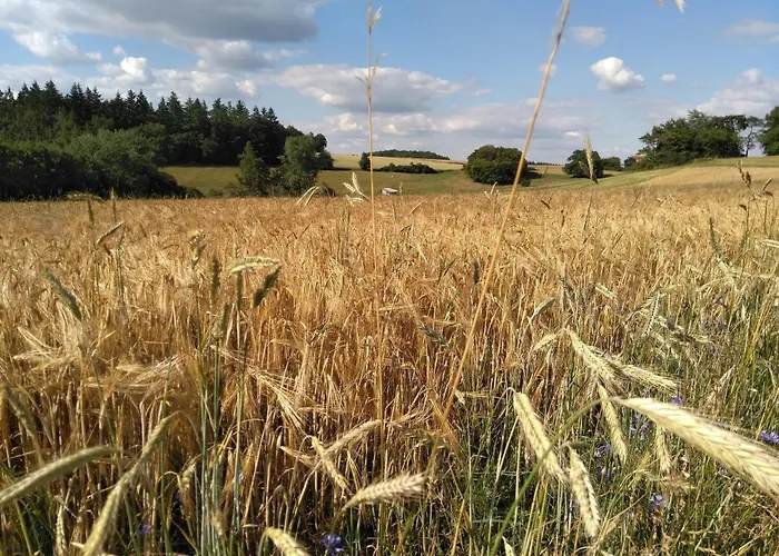 Apartament Auszeit Am Edersee
